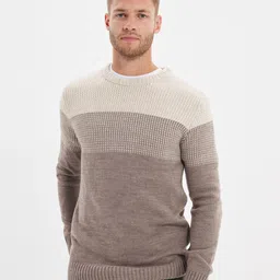 Trendyol Men Beige Colourblocked Pullover image 3
