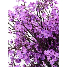 BS AMOR Purple Artificial Gypsophila Flower Bouquet image 2