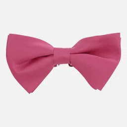 Van Heusen Men Bow Tie image 5