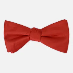 Louis Philippe Men Red Bow Tie image 2
