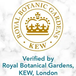 Herbal Essences Bio-Renew Argan Oil of Morocco Real Botanicals Shampoo 240 ml image 5