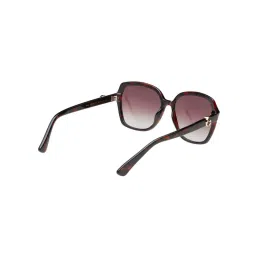 scott accessories Scott Sunglasses Women Plastic Wine Oversized Full Rim Sunglass (Scott 3161 Susen C2 S )-55 image 4