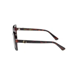 scott accessories Scott Sunglasses Women Plastic Wine Oversized Full Rim Sunglass (Scott 3161 Susen C2 S )-55 image 5