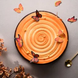 Ombre Effect Butterfly Cake image 3