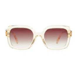 scott accessories Scott Sunglasses Women Plastic Wine Square Full Rim Sunglass (Scott 3162 Nola C4 S )-50-picture-26
