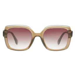 scott accessories Scott Sunglasses Women Plastic Purple Square Full Rim Sunglass (Scott 3162 Nola C5 S )-50-picture-23