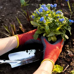 WOLF Garten Polyester Blend Soil Care Garden Gloves (Small Size, Red And Black, Pair of 2) image 4