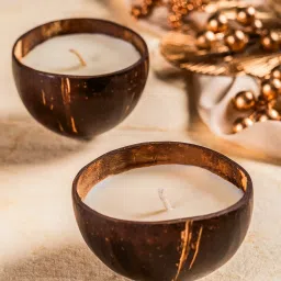 THE ZAPPY BOX Coconut Shell Candle image 1