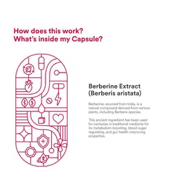 Origins Nutra Set Of 3 Berberine Metabolism Booster 500mg Capsules - 28 Capsules Each image 4