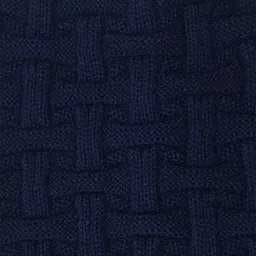 Gajraj Unisex Blue Beanie image 3