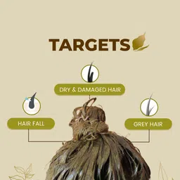 Ozone Set Of 6 100% Organic Henna Conditioner Mehndi with 7 Ayurvedic Herbs - 100g Each image 5