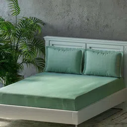 Trance Home Linen Green 300 TC Pure Cotton Fitted King Bedsheet With 2 Pillow Covers-picture-34