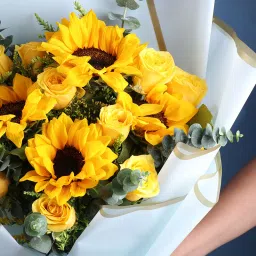 Sunshine Draped In Blue Sky image 4