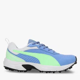 puma Cricket Active Shoes image 1