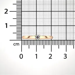 valanova Women Sterling Silver Rose Gold-Plated Lab Grown Diamond Ring image 3