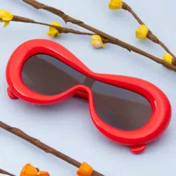 ted smith TSM470C2 UV Protected Full-Rim Frame Sunglasses image 2