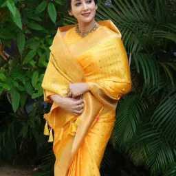nyrika Women Silk Saree with Contrast Border  image 2