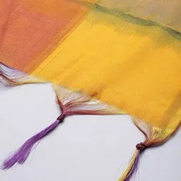 svaraa Women Woven Dupatta with Tassels image 2