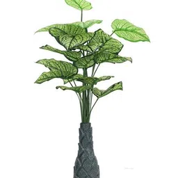 foliyaj 18 Leaf Money Plant Bunch with Floor Base image 2