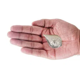 akshat sapphire Sterling Silver Coconut For Pooja-35 mm image 2