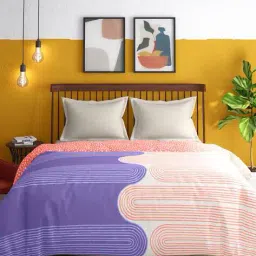 portico 80 GSM Printed Cotton Double Comforter image 2