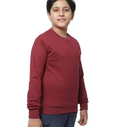 pixie n prince Boys Regular Fit Sweatshirt with Ribbed-Hem image 3