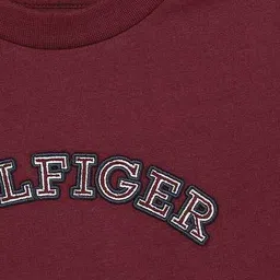tommy hilfiger Boys Embroidered Regular Fit Round-Neck T-Shirt image 3