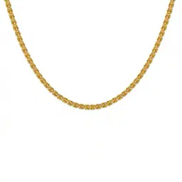 dzinetrendz Gold-Plated Chain with S-Hook Closure image 3