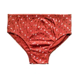 fashion comfortz Women Pack of 3 Briefs with Elasticated Waist image 3