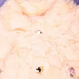 v-mart Girls Jacket with Button Closure image 3