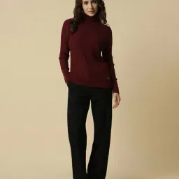 allen solly Women Turtleneck Pullover image 4