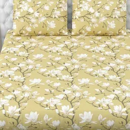 haus & kinder Cotton Printed Bedsheet with 2 Pillow Covers image 4