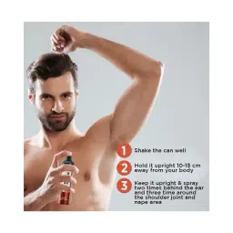 wild stone Bronze No Gas Perfume Body Spray image 4