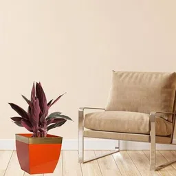 ecofynd Metal Tapered Planter image 4