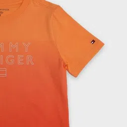 tommy hilfiger Boys Regular Fit Cotton T-shirt  image 4