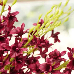 pure home and living Artificial Orchid Stem - Single image 4