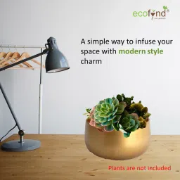ecofynd Table Top Metal Pot image 5