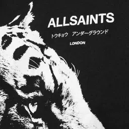 all saints Ivana Anna Relaxed Fit T-Shirt image 5