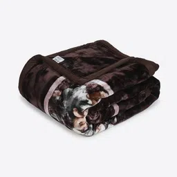 monte carlo 290 GSM Floral Print Double Blanket image 5
