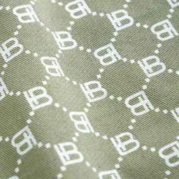 hopscotch Boys Printed Shirt & Pants Set image 5