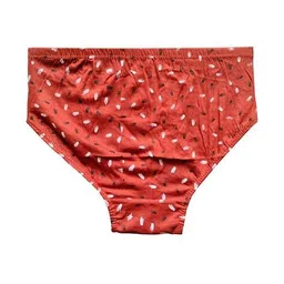 fashion comfortz Women Pack of 3 Briefs with Elasticated Waist image 5