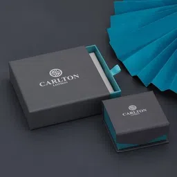 carlton london Women Sterling Silver Rhodium-Plated Enamel Fish Stud Earrings image 5