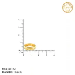 giva Women Sterling Silver Gold-Plated Band Ring image 5