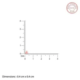 giva Women Sterling Silver Rose Gold-Plated Delta Stud Earrings image 5