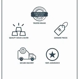 srijagdamba pearls dealer 2 Grams Gold Coin image 3