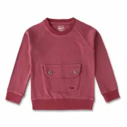 baby's pride Boys Regular Fit Round-Neck T-Shirt with Flap Pocket-picture-11