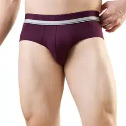 park avenue  Cotton Blend Regular Briefs-picture-24