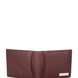 wildhorn Men Logo Bi-Folds Wallet-picture-33