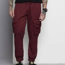 the indian garage co Men Slim Fit Cargo Pants-picture-44