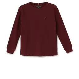 tommy hilfiger Boys Embroidered Regular Fit Round-Neck T-Shirt-picture-13